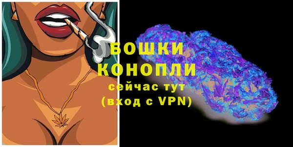тгк Пересвет