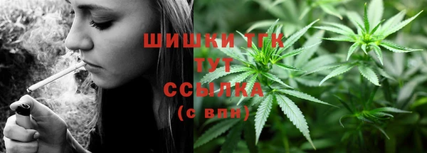 apvp Пестово