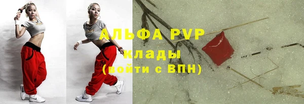apvp Пестово