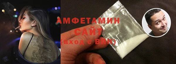 тгк Пересвет