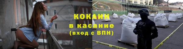 тгк Пересвет
