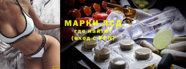 тгк Пересвет