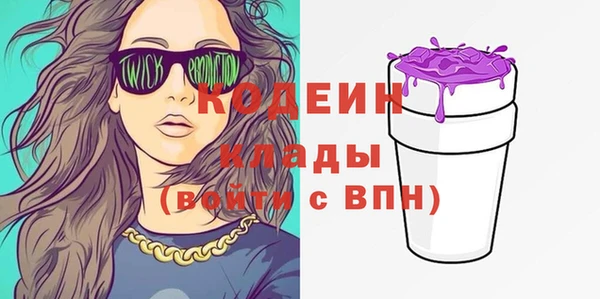 тгк Пересвет