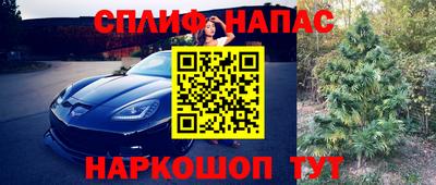 ГАЛЛЮЦИНОГЕННЫЕ ГРИБЫ Краснокаменск