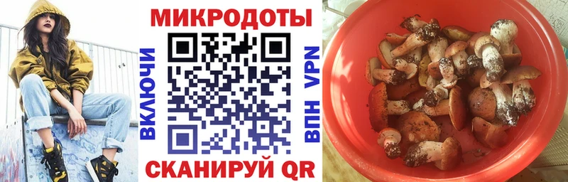 Псилоцибиновые грибы Psilocybine cubensis  Санкт-Петербург 