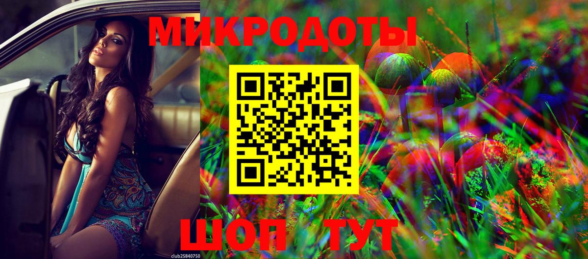 Псилоцибиновые грибы Psilocybine cubensis Санкт-Петербург