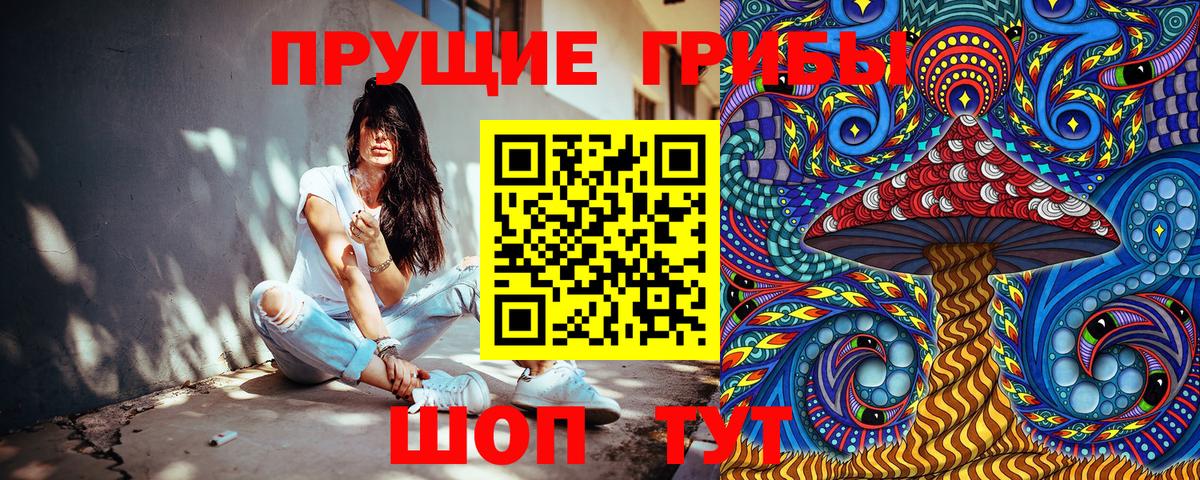 Псилоцибиновые грибы Psilocybe  закладки  Вход с VPN  Санкт-Петербург  Псилоцибиновые грибы Cubensis 